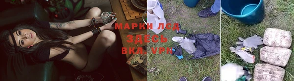 твердый Дмитриев