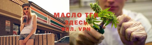 твердый Дмитриев