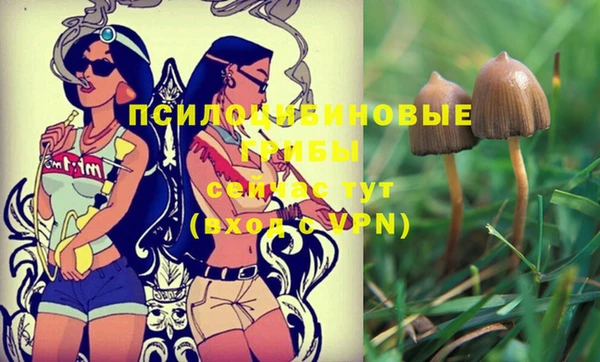 твердый Дмитриев