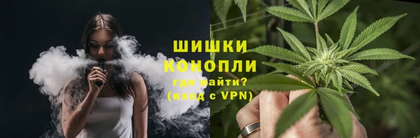 прущие грибы Дмитровск