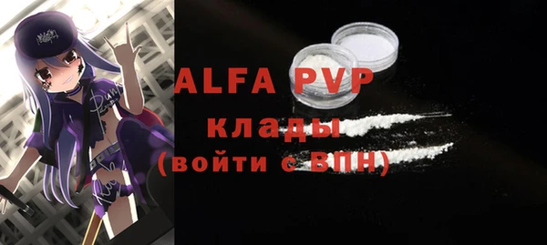 прущие грибы Дмитровск