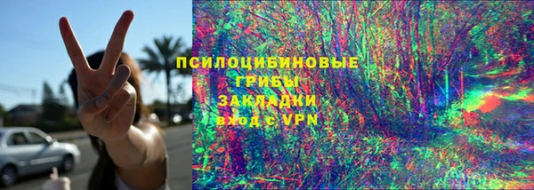 твердый Дмитриев