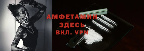 прущие грибы Дмитровск