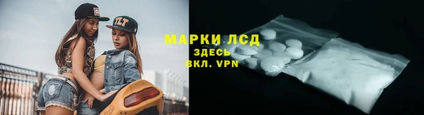 прущие грибы Дмитровск