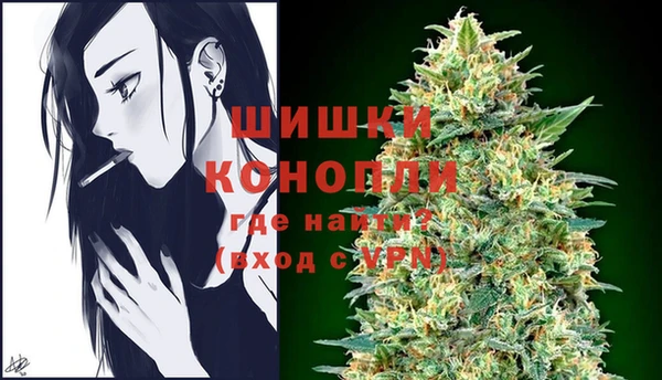 твердый Дмитриев