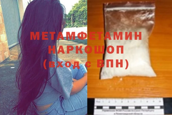прущие грибы Дмитровск