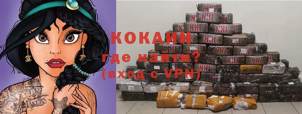 твердый Дмитриев
