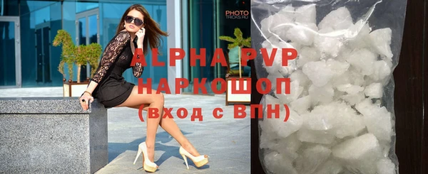 прущие грибы Дмитровск