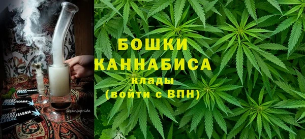 прущие грибы Дмитровск