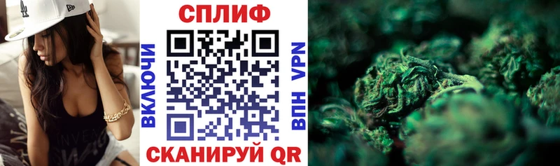 Купить  Пудож  Конопля марихуана 